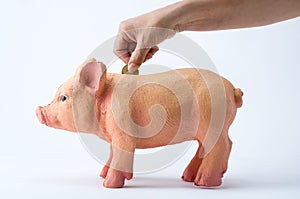 A person saving coins in a piggy bank