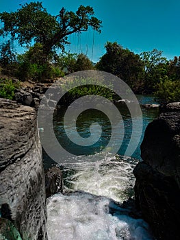 A person is sitting under a coconut tree, a photo taken from the bottom of the coconut tree,