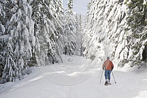 Person snowshoeing in winter