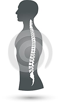 Person and spine, colored, orthopedic and physiotherapy logo