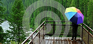 Person Standing in Rain with Rainbow Umbrella on Platform Looking at River Waterfall Pine Forest