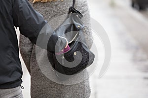 Person Stealing Purse From Handbag