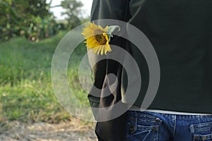 Person with sunflower in a cloth bag. No more plastic bag concept. Love, care and still life conceptual.