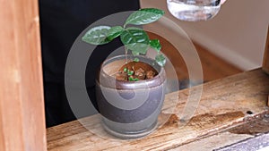 Person Tenderly Watering a Small Green Houseplant on a Window Sill