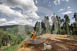 Person traveling with a dog in the mountain forest