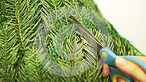 Person uses blue scissors to unpack bought Christmas tree