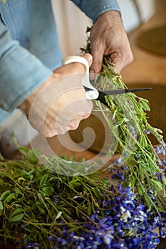 Person using various hand tools to trim blue bonnets