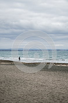 A person walking alone on an empty beach. Winter autumn season, cold weather. Cloudy weather. Birds on the sand.