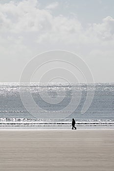 Person Walking along Beach