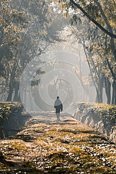 A person walking along a tree garden road