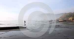 A person is walking on a beach with a cloudy sky in the background