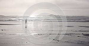 A person is walking on a beach with a cloudy sky in the background