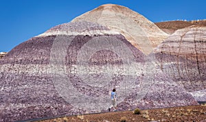 Person walking between cliffs of Blue Mesa of Petrified Forest National Park, Arizona, USA