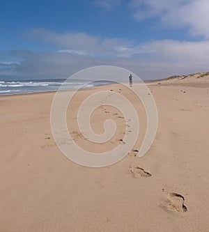 Person walking in the distance on the sandy beach on the Oystercatcher Trail, near Mossel Bay, Garden Route, South Africa