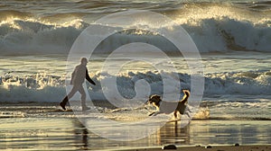 Person Walking Dog on Beach