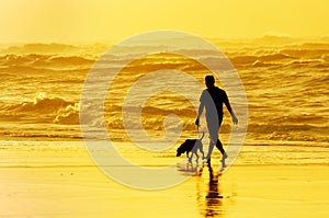 Person walking the dog on beach