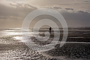 Person walking dog at stormy day at beach