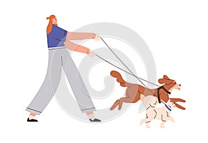 Person walking with dogs. Young woman walker leading doggies on leash. Girl, pet sitter strolling with canine animals