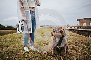 A person walking with her Spanish water dog in a rainy day in the north of Spain. The dog is looking at the camera and is tied of