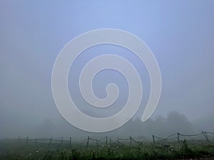 a person walking a horse across a green field on a foggy day