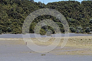 Person walking Playa Hermosa photo