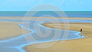 A person walks along a stream on a wild beach in Queensland Au