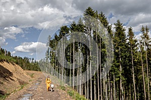 Person walks in the mountain forest