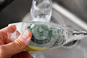 Person washing the glass by hands with a green yellow sponge full of foam in the grey sink at the kitchen and a glass cup just