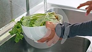 Person washing plant ingredients in a bowl of water in sink