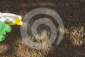 A person watering the soil after sowing