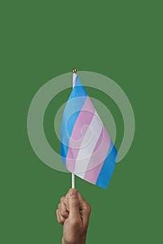 Person waving a transgender pride flag