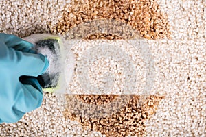 Person Wearing Gloves Cleaning Stain Of Carpet