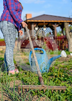 Person weeding a vegetable patch in spring