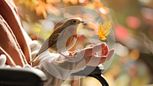 A person in a wheelchair holding a bird on their finger the simple act of feeding it bringing a sense of peace and joy