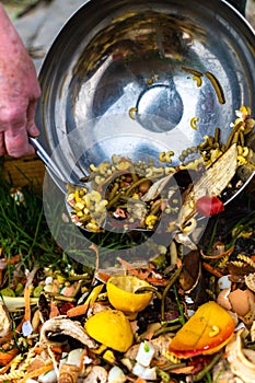 Person who put in a composter some kitchen waste like vegetables, fruits, eggshell, coffee grounds in order to sort and make bio