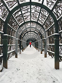 Person in winter park
