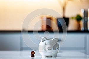 Personal finances, close-up of a piggy bank with american dollars - wealth and financial concept