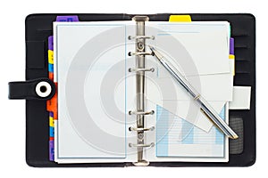 Personal organizer with pen