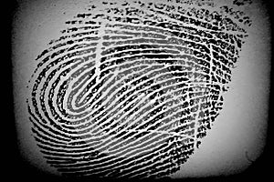 Personality Fingerprint Swirl Impression Thumb Index Ring Finger Last Identification Arch Ridge Loop Whorl Biometric Human Hand photo