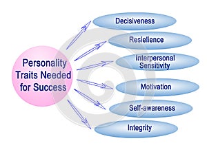 Personality Traits Needed for Success
