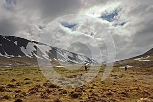 Persons Walking Tundra in Svalbard