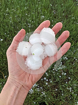 A personâ€™s hand holding many large hailstones ranging from half dollar to golf ball sized after a severe storm has passed.