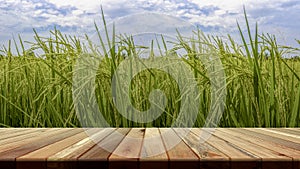 Perspective brown wooden board empty table in front of paddy field in morning time. for product placement or editing your product