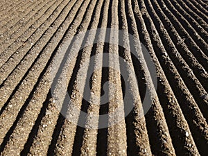 Perspective of deep grooves of sand. Background of raked white sand. Clean beach sand texture with rake. Maintenance of beaches