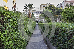 Perspective front shot of relaxing garden stone road between buildings in Izmir at Turkey