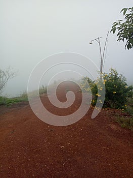 Perspective Photo Of Narrow Rural Dirt Road With Tropical Trees Blurring Into Heavy Mist