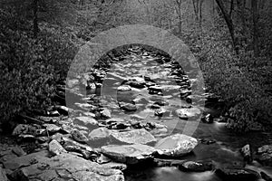 Perspective Slow Shutter Waterscape Photography of a River with Many with Stones in the Woods.