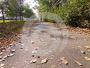 Perspective of the street with pavement in sunny autumn day with falling dry leaves on the ground.