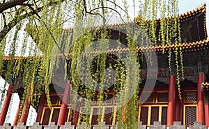 Perspective of tiles in Forbidden City in Beijing, China