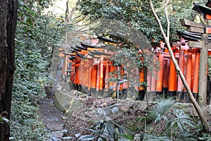 Perspective of Tori Path in Fushimi Inari